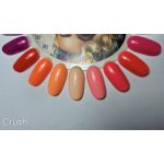 Der Crush  by Sophia Gellackkollektion mit 4 Gel-Nagellacken und einer kostenlosen Margerite.