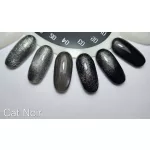 Cat Noir Gel Polish Kollektion mit 6 Gel-Lacken und einem Geschenk-Musterfächer