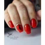 Rot 071 CCO Gelpolitur 5ml