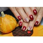 Rot 109 CCO Gelpolitur 5ml