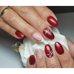 Rot 109 CCO Gelpolitur 5ml